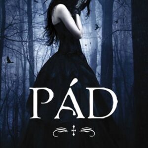 Andělé 1: Pád (Lauren Kate) (česky)