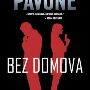 Bez domova (Chris Pavone) (česky)