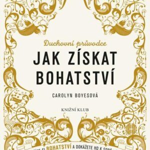 Jak získat bohatství - Zasloužíte si bohatství a dokážete ho k sobě přivábit (Boyesová Carolyn) (česky)