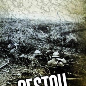 Cestou (Dalibor Vácha) (česky)