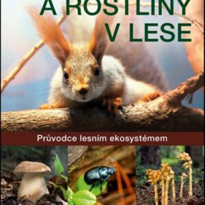 Zvířata a rostliny v lese (Peter Wohlleben) (česky)