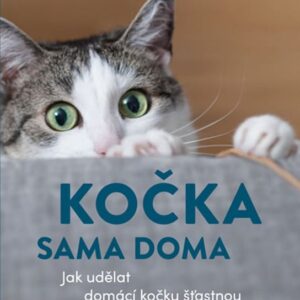 Kočka sama doma (Heike Grotegutová) (česky)