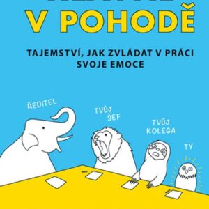 Hlavně v pohodě - Tajemství, jak zvládat v práci svoje emoce (Mollie West Duffy) (česky)