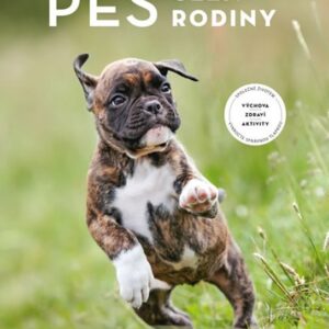 Pes - člen rodiny (Kitchenham Kate) (česky)