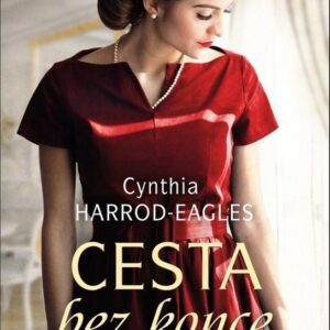 Cesta bez konce - Za války, 1917 (4. díl) (Cynthia Harrod-Eagles) (česky)