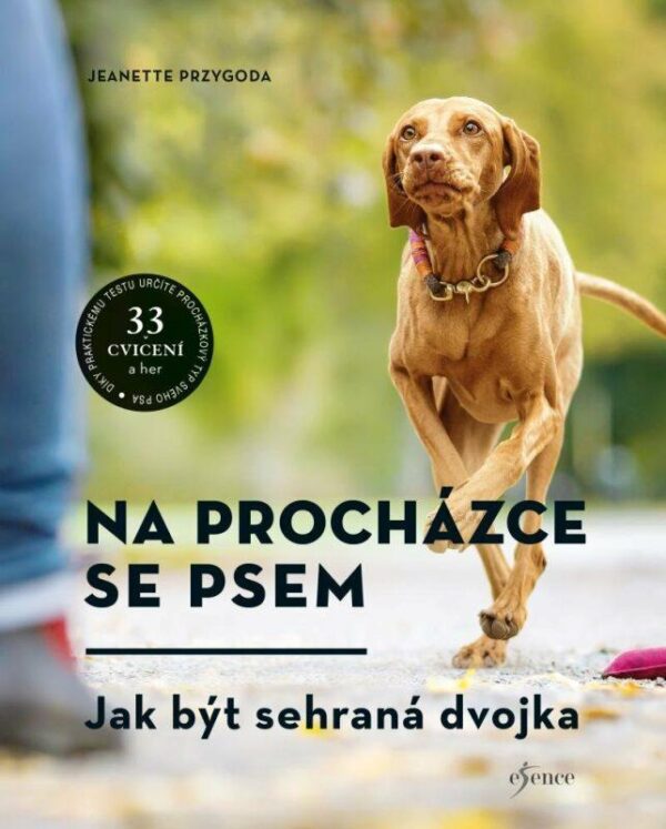 Na procházce se psem (Jeanette Przygoda) (česky)