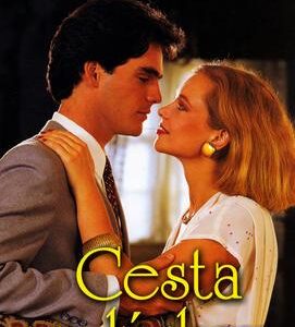 Cesta za láskou (Hedwiga Courths-Mahlerová) (česky)