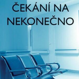 Čekání na nekonečno (František Niedl) (česky)