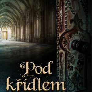 Pod křídlem anděla (Zdeněk Grmolec) (česky)