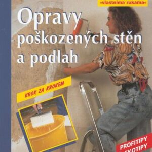 Opravy poškozených stěn a podlah (Max Direktor) (česky)