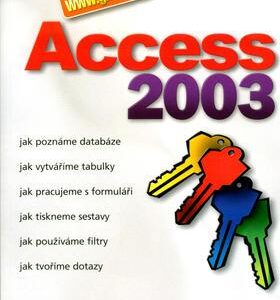 Access 2003 (Slavoj Písek) (česky)