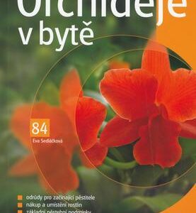 Orchideje v bytě (Eva Sedláčková) (česky)