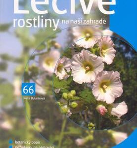Léčivé rostliny na naší zahradě (Iveta Bulánková) (česky)
