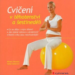 Cvičení v těhotenství a šestinedělí (Miriam Wessels) (česky)