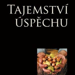 Tajemství úspěchu (Jiří Plamínek) (česky)