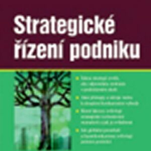Strategické řízení podniku (Roman Zuzák) (česky)