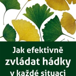 Jak efektivně zvládat hádky (Herring Jonathan) (česky)