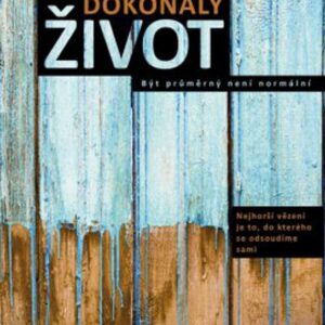 Dokonalý život (Pavel Vosoba) (česky)
