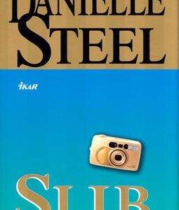 Slib (Danielle Steel) (česky)