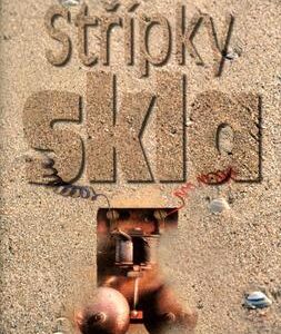 Střípky skla (Anita Shreve) (česky)
