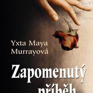 Zapomenutý příběh (Yxta Maya Murray) (česky)
