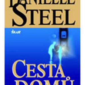 Cesta domů (Danielle Steel) (česky)