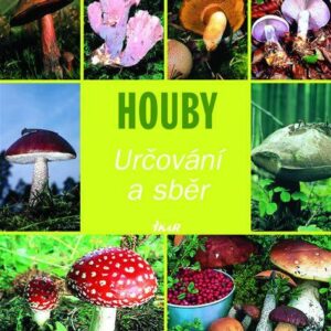 Houby: určování a sběr (Hans W. Kothe) (česky)