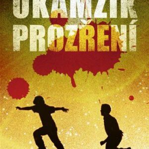 Okamžik prozření (Gottlieb Eli) (česky)