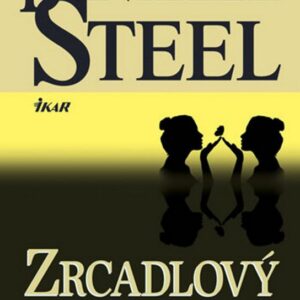 Zrcadlový obraz (Danielle Steel) (česky)