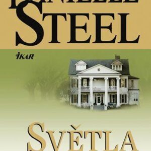 Světla Jihu (Danielle Steel) (česky)