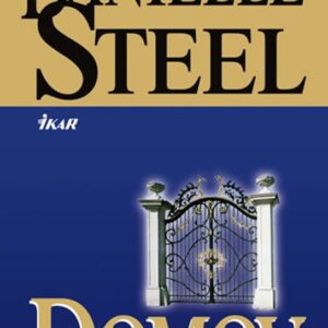 Domov (Danielle Steel) (česky)