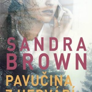 Pavučina z hedvábí (Sandra Brown) (česky)