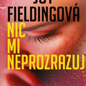Nic mi neprozrazuj (Joy Fielding) (česky)