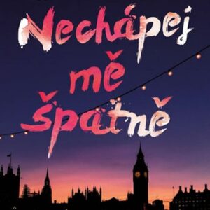 Nechápej mě špatně (Marianne Kavanaghová) (česky)