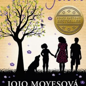 Jeden plus jedna (Jojo Moyes) (česky)