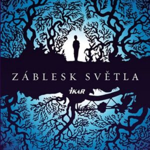 Záblesk světla (Garth Stein) (česky)