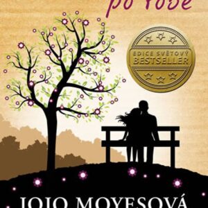 Život po tobě (Jojo Moyes) (česky)