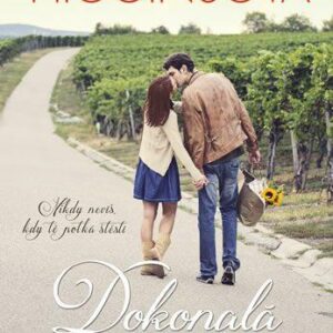 Dokonalá partie (Kristan Higginsová) (česky)