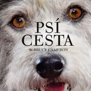 Psí cesta (W. Bruce Cameron) (česky)