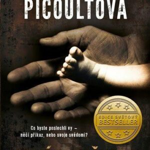 Velké maličkosti (Jodi Picoult) (česky)
