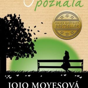 Než jsem tě poznala (Jojo Moyes) (česky)