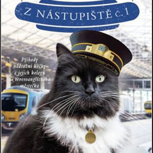 Felix z nástupiště č. 1 (Kate Moore) (česky)