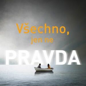 Všechno, jen ne pravda (Gillian McAllister) (česky)