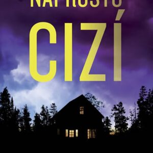 Naprosto cizí (Megan Miranda) (česky)