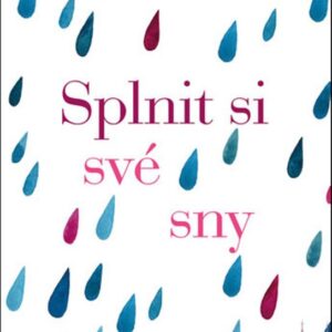 Splnit si své sny (Hendrik Winter) (česky)