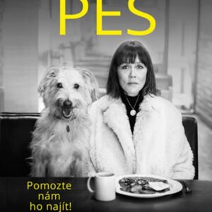 Ztratil se pes (Kate Spicerová) (česky)