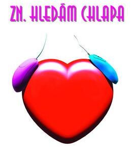Zn. Hledám chlapa (Lucy-Anne Holmes) (česky)