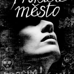 Prokleté město (Lisa McMann) (česky)