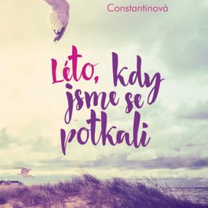 Léto, kdy jsme se potkali (Robin Constantinová) (česky)