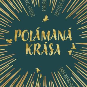 Polámaná krása (Barnard Sara) (česky)